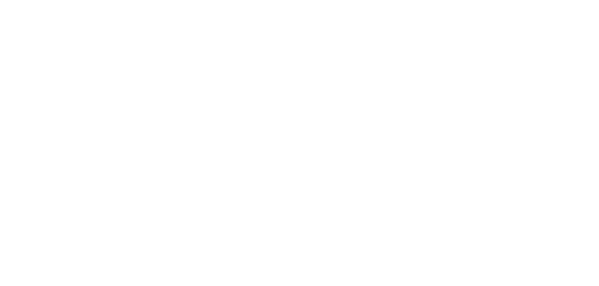 EmployInsight white logo